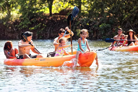 Oahu: Passeio de aventura pela costa norte com almoçoOahu: Excursão de aventura na costa norte