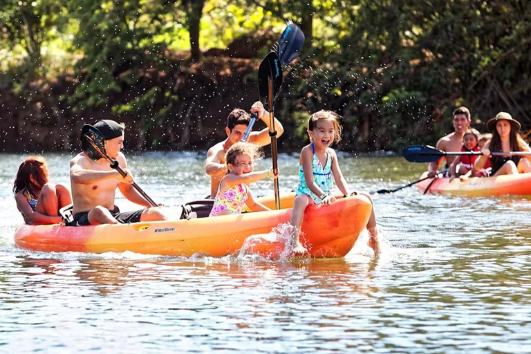 Oahu: Avontuurlijke Noordkust Tour met LunchOahu: Avontuurlijke Noordkust Tour