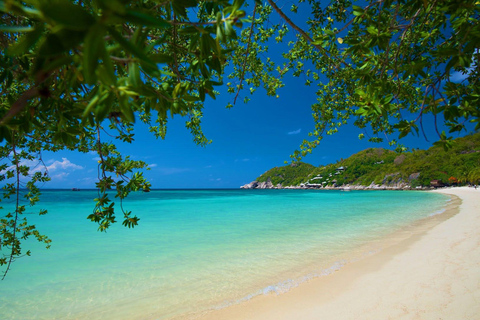 Koh Tao: Premium Snorkel Tour to Koh Nangyuan Bays by Oxygen