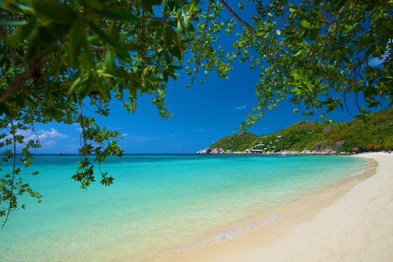 Koh Tao: Premium Snorkel Tour to Koh Nangyuan Bays by Oxygen