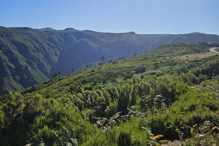 Madera: wycieczka jeepem z tyrolką, huśtawką i wulkanicznymi basenamiMadera: wycieczka jeepem z tyrolką, huśtawką i basenami wulkanicznymi