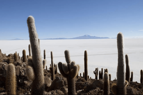 San Pedro de Atacama: 4-Day Uyuni Salt Flats Tour