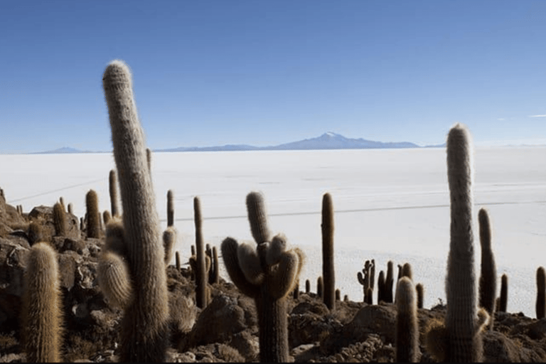 San Pedro de Atacama: 4-Day Uyuni Salt Flats Tour