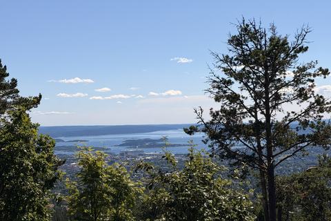 Oslo’s Hidden Gem:Hike with Panoramic Views, Waffles&Brunost