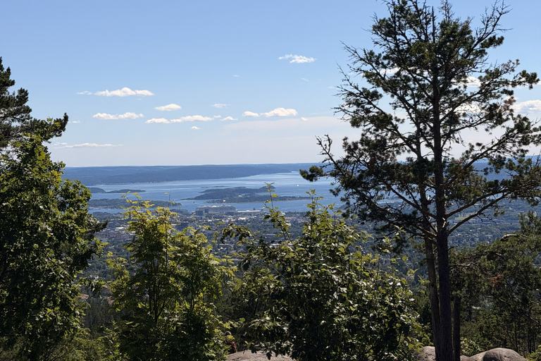 Oslo’s Hidden Gem:Hike with Panoramic Views, Waffles&Brunost