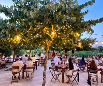 Corfu: Live Jazz Music at the Vineyard