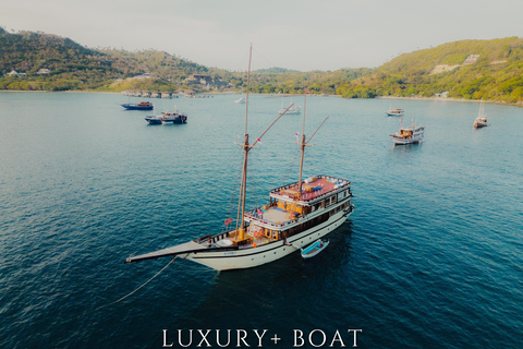 Labuan Bajo: 5-Day Komodo to Gili Trawangan Whale Shark Tour Standart Boat | Sharing Deck | No WHALE SHARK