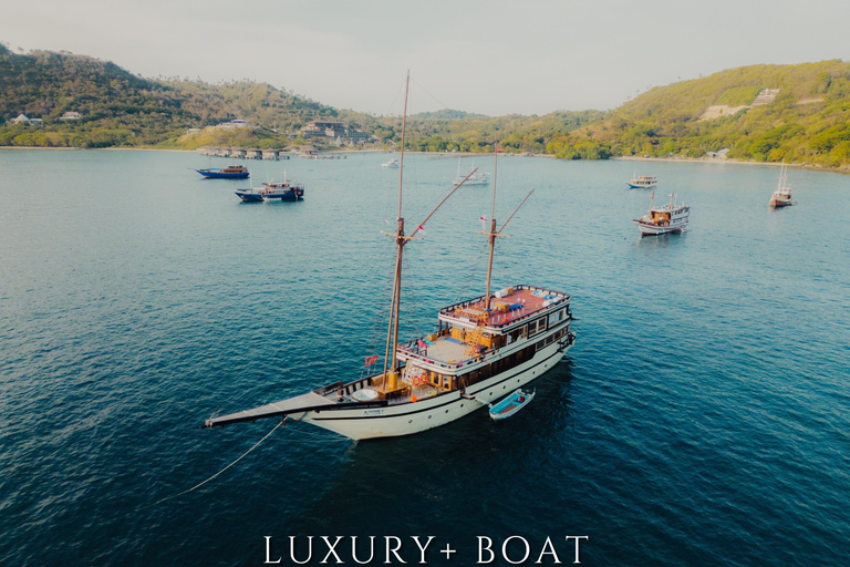 Labuan Bajo: 5-Day Komodo to Gili Trawangan Whale Shark Tour Standart Boat | Sharing Deck | No WHALE SHARK