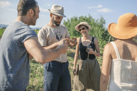 Empordà: Visit Celler La Vinyeta with wine tasting Empordà: Visit Celler La Vinyeta with a wine tasting