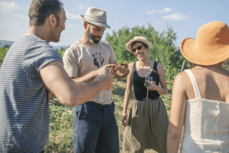 Empordà: Visit Celler La Vinyeta with wine tasting Empordà: Visit Celler La Vinyeta with a wine tasting