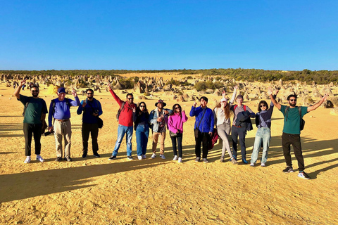 Perth: Pinnacles Desert Lobster Tour mit morgendlichem Tee