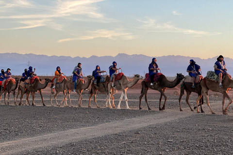 Marrakech : Safari dans le désert avec dîner, spectacles et promenade à dos de chameauSafari complet