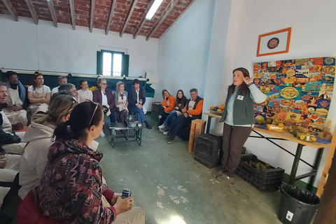 Huerto Ribera Tour with Vermouth Workshop and Tasting