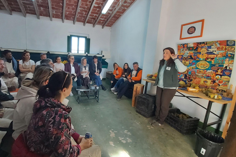 Huerto Ribera Tour with Vermouth Workshop and Tasting