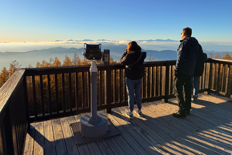 Tokyo: Mt Fuji A Journey Through Nature, History & Culture Tokyo: Mt Fuji A Journey Through Nature, History, & Culture