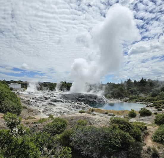 Auckland: Māori Village & Wai-o-Tapu & Blue Springs