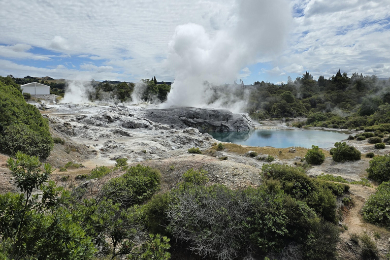 Auckland: Māori Village & Wai-o-Tapu & Blue Springs