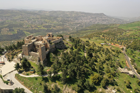 Jerash, Ajloun, and Umm Qais Full-Day Tour From AmmanJerash, Ajloun e Umm Qais: excursão de 1 dia saindo de Amã