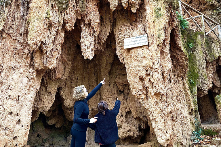 From Madrid: Discover the Monasterio de Piedra and the Kingdom of Aragon Explore the Stone Monastery and discover Sigüenza in a small group