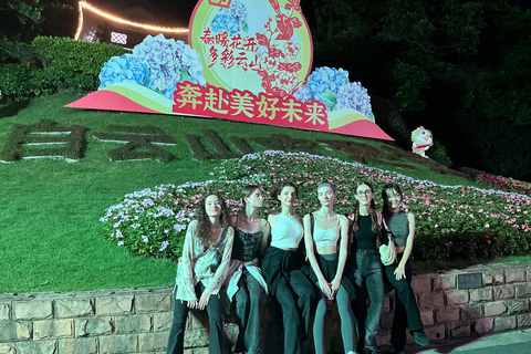 Foshan en Guangzhou: Privérondleiding met vertaling