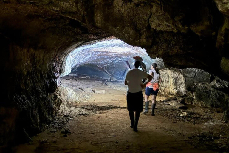 Galápagos : tortues géantes, tunnels de lave et cratèresGalápagos : visite guidée des tortues géantes, des tunnels de lave et des cratères