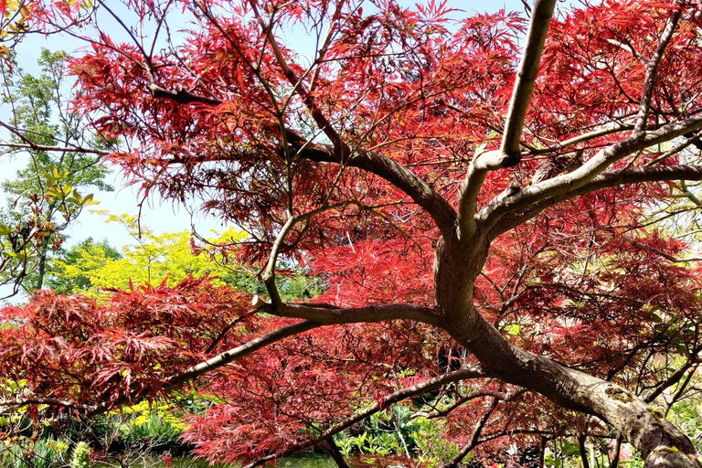 Giverny: Monet House Tickets With Garden Guided Tour Monet House Skip The Line With Garden Tour - Standard Group