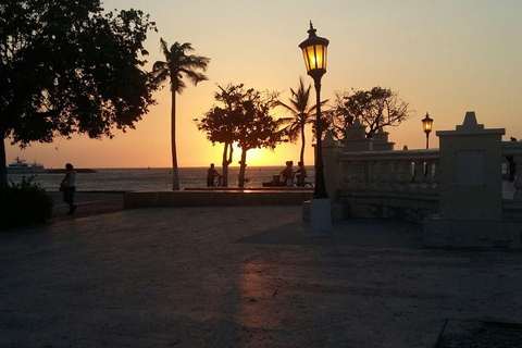 Santa Marta: Historic City Tour and Quinta de San Pedro Alejandrino