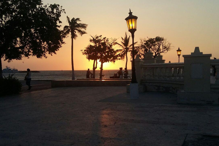 Santa Marta: Historic City Tour and Quinta de San Pedro Alejandrino