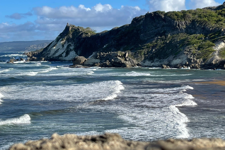 Sweet Life Island Tours