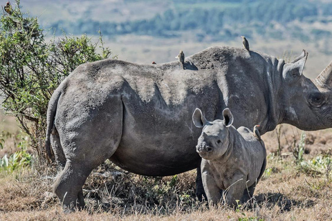 5-Day Tanzania Safari and Culture Tour