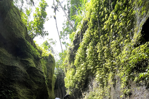 Ubud: Dolda pärlor och vattenfall Privat rundturHeldagsutflykt med lunch