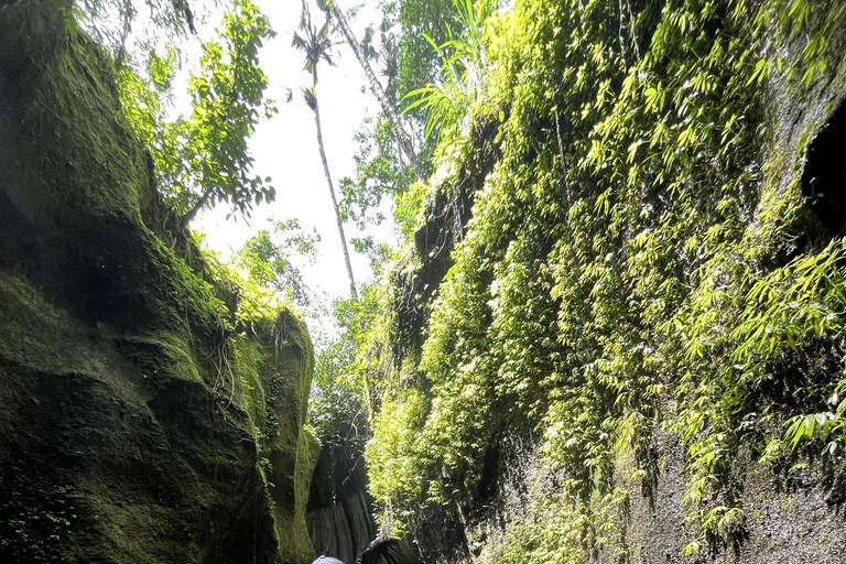 Ubud: Tour particular por joias escondidas e cachoeirasExcursão de dia inteiro sem almoço