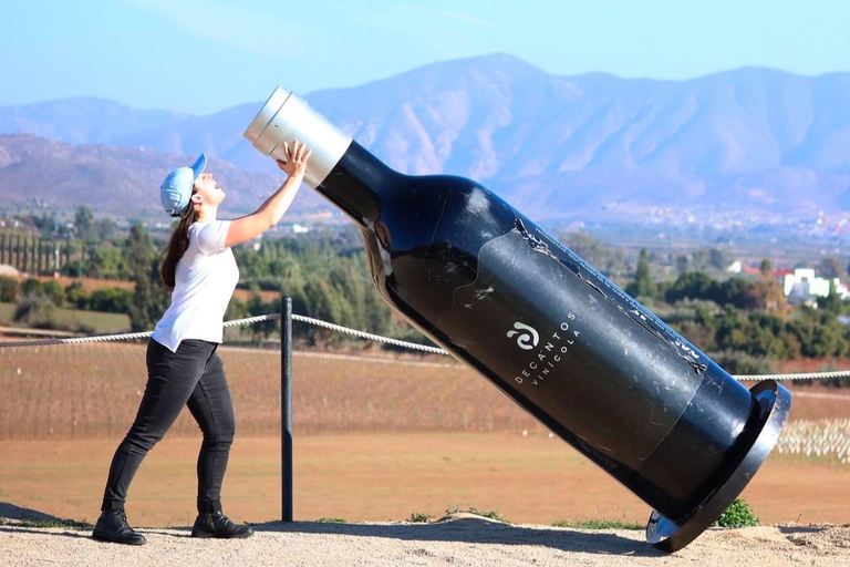Visite de la vallée de Guadalupe : dégustations de vins inclusesCircuit dans la vallée de Guadalupe : dégustations de vins incluses
