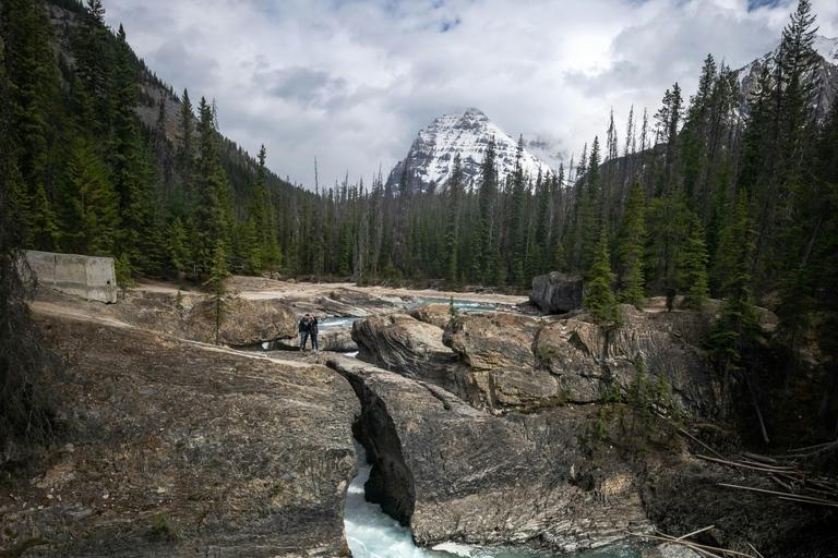 Private Moraine Lake, Lake Louise, Takakaw Fall Premium Tour