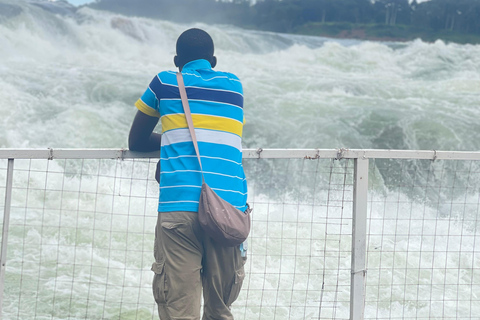 The Gorilla Trekking Tour and the Nile Trail Uganda