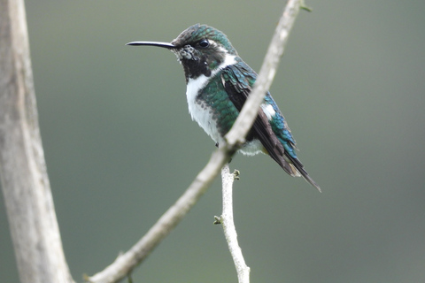 Quito: Pululahua Volcano, Hummingbirds, & Equator Tour