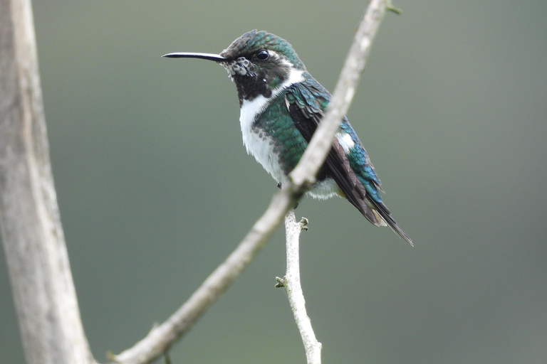 Quito: Pululahua Volcano, Hummingbirds, & Equator Tour