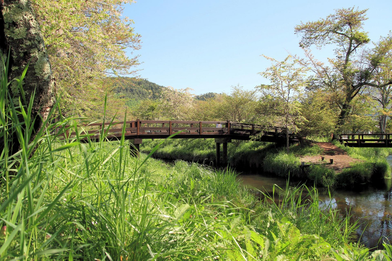 Tokyo : Excursion d'une journée à la 5e station du Mont Fuji, dans la région du Fuji et à Kawaguchiko8:20 Rendez-vous au bureau de poste de Shinjuku