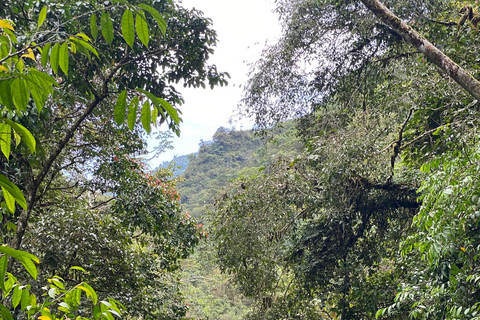 From Cali: Rio Bravo Canyon Natural Reserve HikeCalima Darien: Rio Bravo Canyon Natural Reserve Hike