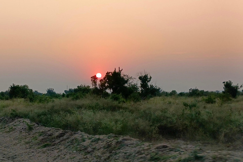 Kampala: 3-Day Queen Elizabeth National Park Safari Tour