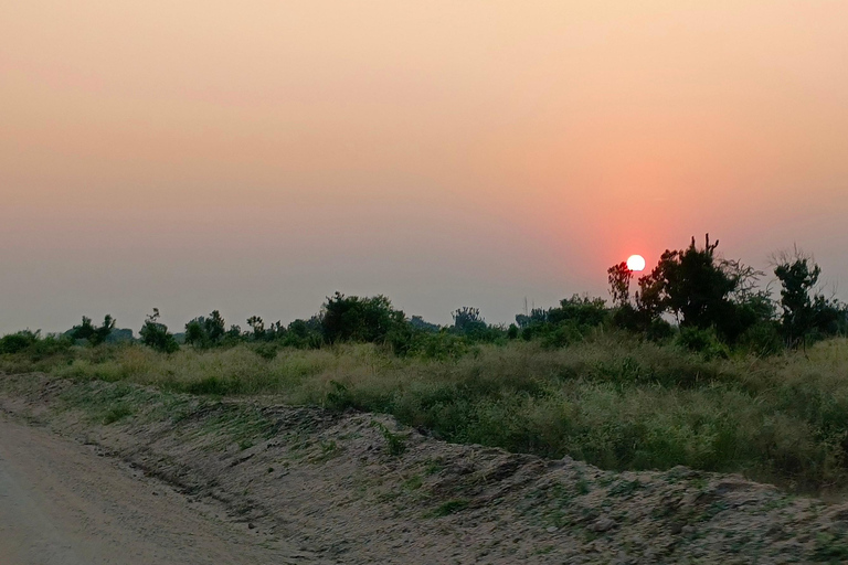 Kampala: 3-Day Queen Elizabeth National Park Safari Tour