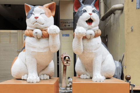 Tokyo: Old Tokyo Walk with Yanaka Retro Street & Nezu Shrine