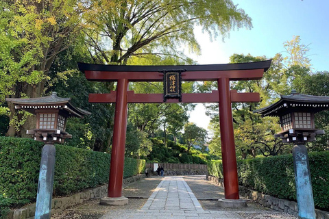 Tokyo Full and Half Day Sightseeing Tour with Mount Fuji Tokyo: 4 Hours Private City Sightseeing Tour with Tour Guide