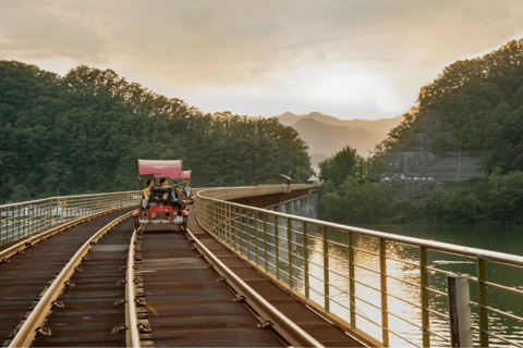 Depuis Séoul : L'île de Nami, le jardin coréen et l'excursion en vélo sur rail