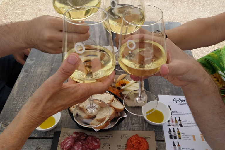 De Valence: Requena Wine Tour avec dégustationsDe Valence: visite privée des vins de Requena avec dégustations