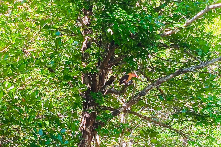 Ko Lanta: Mangrove Kayaking, Ko Talabeng, & Skull Island