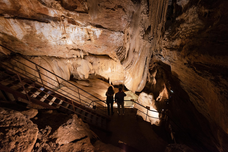 Trabuc: Visit the Trabuc Cave Guided tour of the Trabuc Cave