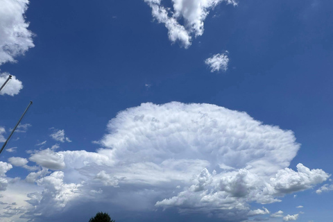 Mongolia: Genghis Khan Statue & Terelj National Park Tour