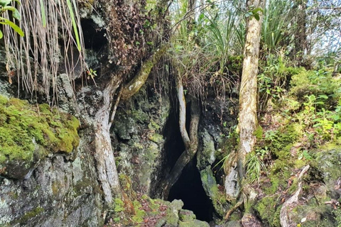 Private Auckland Natural Caves and Tunnels TourAuckland Natural Caves and Tunnels Tour