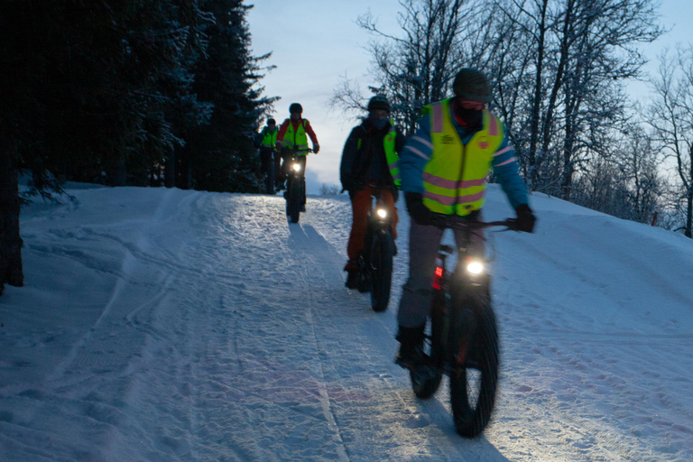 Tromsø: Electric fatbike trip on winter paths